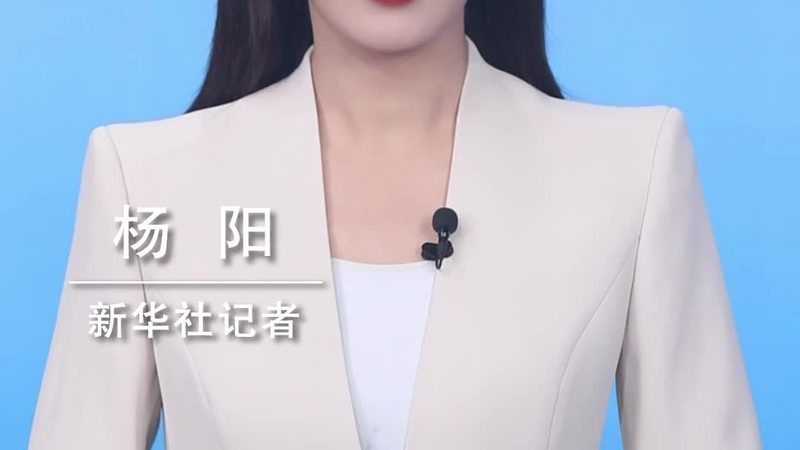 移动端商业智能应用：差异解析与应用选择