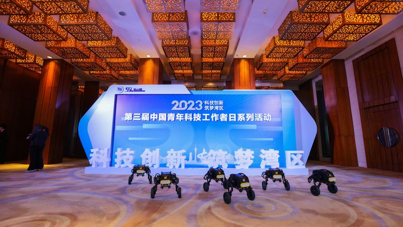数据治理生命周期管理流程：构建高效数据管理的基石**